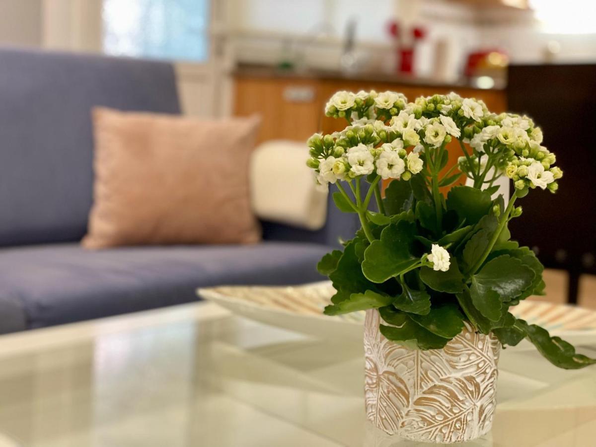 Elegante Piso En Apartament Puerto de la Cruz (Tenerife)
